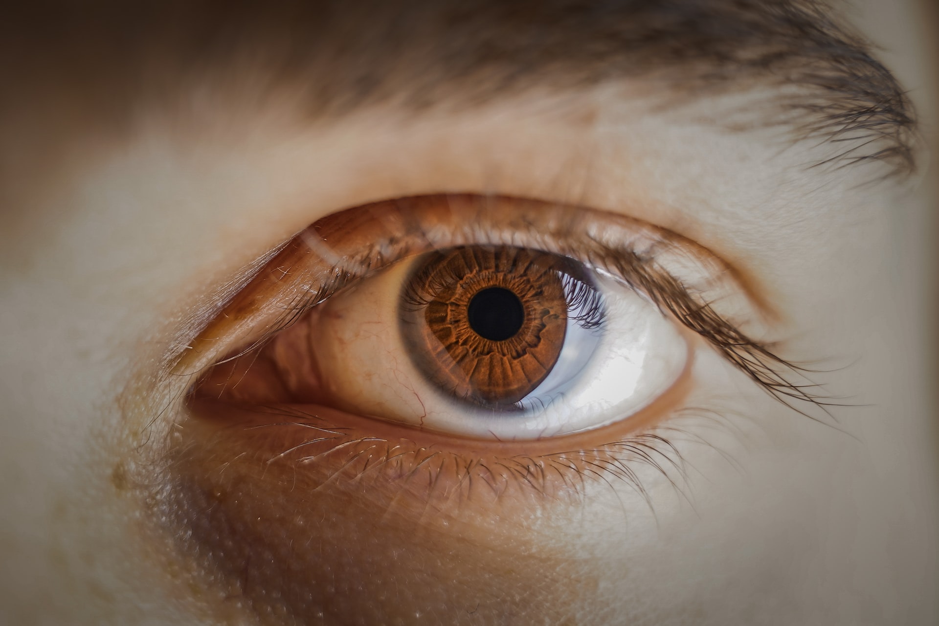 persons brown eyes in close up photography